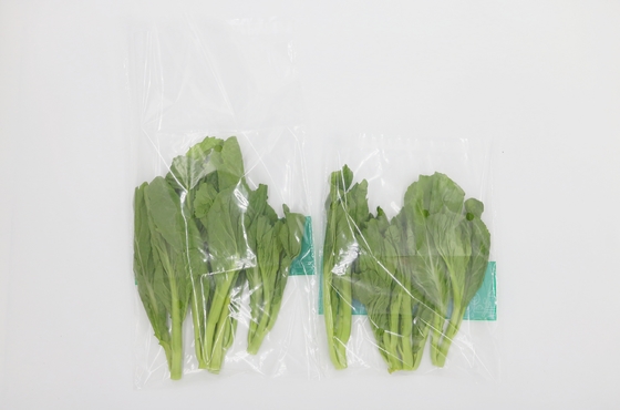 Custom Plastic Clear Packaging Bag Resealable Self Adhesive Opp Cellophane Seal