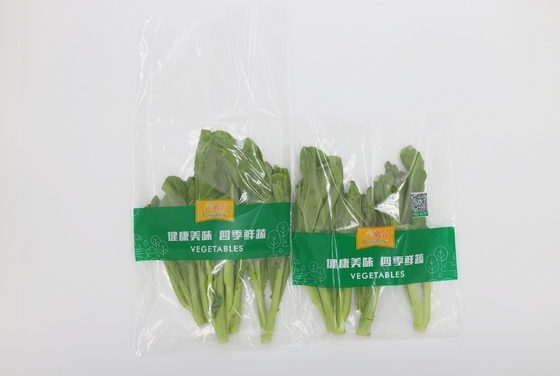 Custom Plastic Clear Packaging Bag Resealable Self Adhesive Opp Cellophane Seal